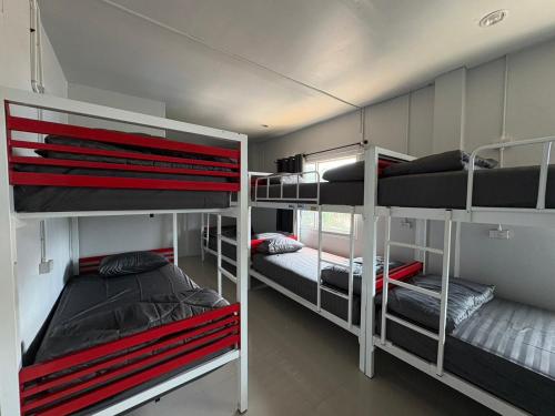 a room with three bunk beds in it at Like A Friend Hostel in Thong Sala