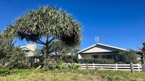 a tree in front of a house with a fence at 18 On Main in Wooli