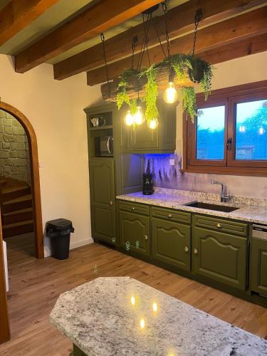 a kitchen with green cabinets and a counter top at La Belle au Bois Joli in Raon-lʼÉtape