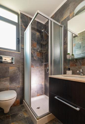 a bathroom with a shower and a toilet and a sink at Beach Bar VIlla in Lefkada