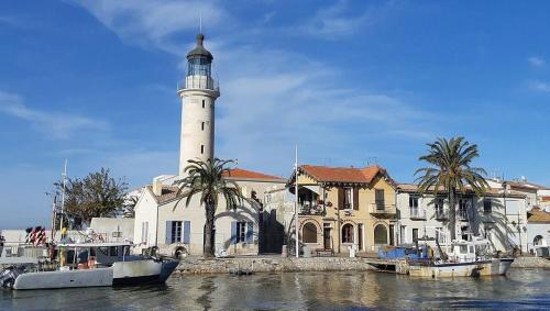 les flamants roses