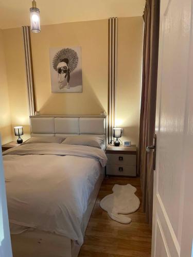 a bedroom with a bed with a picture on the wall at Confort Apartament in Floreşti