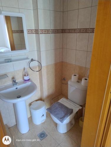 a bathroom with a sink and a toilet at Catalina studios 2 in Olympic Beach