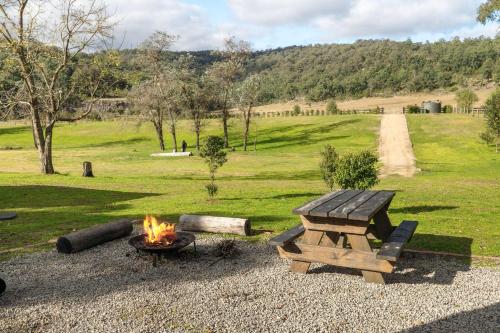 a picnic table and a fire pit in a field at The Wollombi Wanderer by Tiny Away in Wollombi