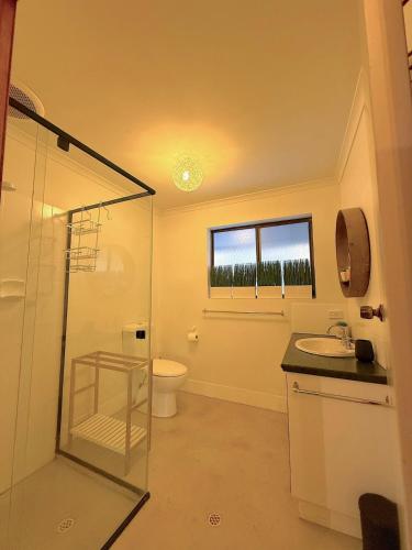 a bathroom with a shower and a sink and a toilet at NR 4 Cove Apartment Carrickalinga in Carrickalinga