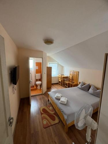 a bedroom with a bed and a living room at Casa Sidor in Baile Felix