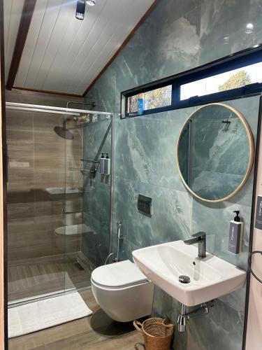 a bathroom with a toilet and a sink and a shower at Nest-Dove's Nest in Howick