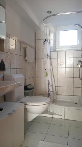 a bathroom with a toilet and a shower and a sink at Appartement "Casa Luigi" in Intragna