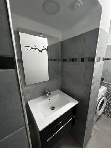 a bathroom with a sink and a mirror at appartement 4 pers,tout confort, randonnée, vélo, nature, visite in Laveissière