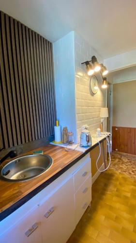 a kitchen counter with a sink in a room at Chez Chagall cozy studio in Sarlat-la-Canéda