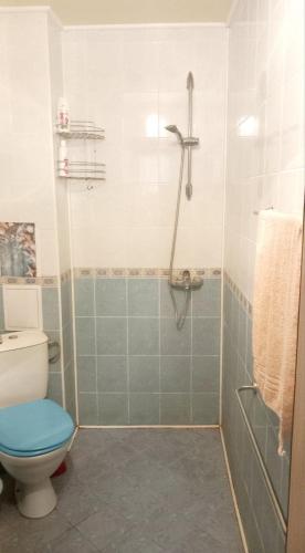 a bathroom with a shower and a toilet at Harmony in Sveti Vlas