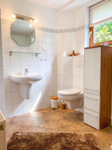 a bathroom with a sink and a toilet at Waldzauber am See in Clausthal-Zellerfeld