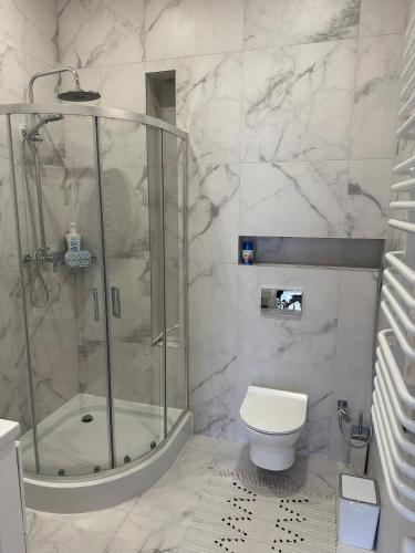 a bathroom with a shower and a toilet at Апарт-готель номер 303 in Truskavets