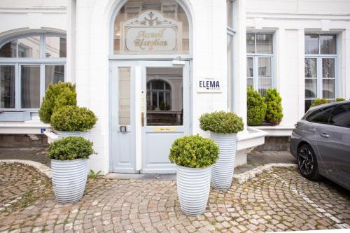 four white potted plants in front of a building at L'Univers Arras by Elema Hotels ex Hôtel de l'Univers Arras in Arras