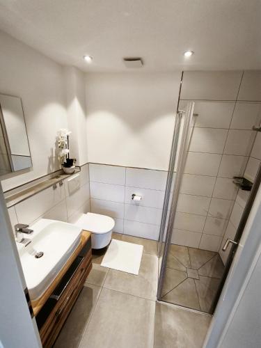 a bathroom with a shower and a sink and a toilet at Ferienwohnung im Panoramaweg in Rieden