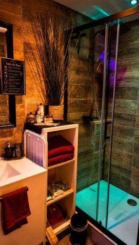 a bathroom with a shower and a sink at Maison LOVEROOM 70m2 L'entre Nous in Grenoble