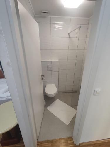 a small bathroom with a toilet and a shower at Hotel Jelena in Brnaze