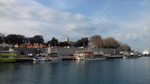 Charming Maraska