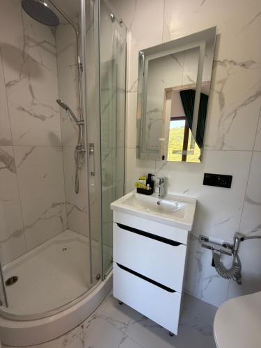 a bathroom with a sink and a shower and a mirror at Alpine in Skhidnitsa