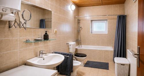 a bathroom with a sink and a toilet and a tub at Lusana in Moravske-Toplice