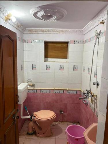 a bathroom with a pink toilet and a sink at G K HAVELLi in Bikaner