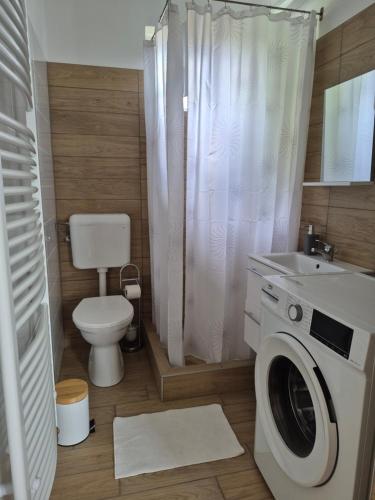 a bathroom with a toilet and a washing machine at Kriszta Gold Vendégház in Újfehértó