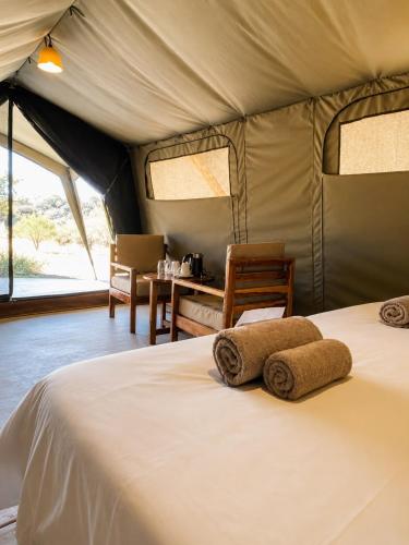 a bed in a tent with towels on it at Omulunga Bush Camp in Ruacana