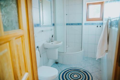 a bathroom with a toilet and a shower and a sink at Agroturystyka nad jeziorem-Herrmann hof in Dejguny