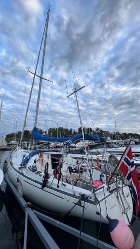 eine Gruppe von Booten, die in einem Hafen vor Anker liegen in der Unterkunft Amelia in Asker