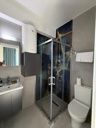 a bathroom with a shower and a toilet and a sink at Vasilia Cove Boutique Hotel in Nicosia