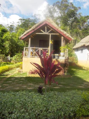 a small house with a plant in front of it at Dimi HOUSE in Andasibe