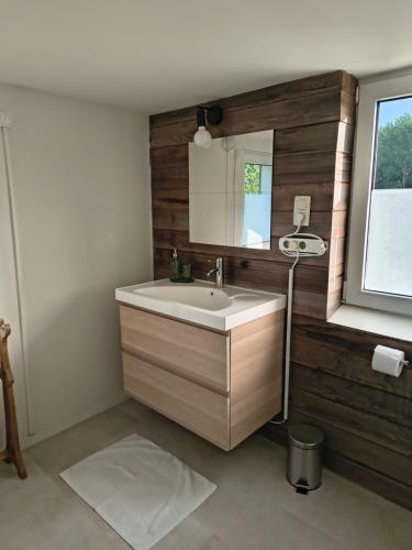 a bathroom with a sink and a mirror at B&B Leybeeckhof in Holsbeek