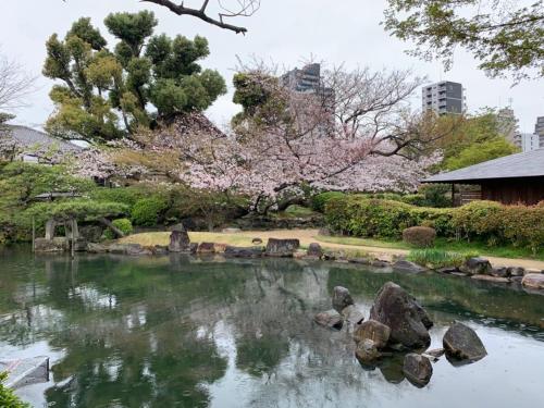 Osaka Tennoji Family Residence