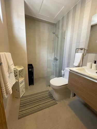 a bathroom with a shower and a toilet and a sink at Furnished two-bedroom apartment DN in Solorín