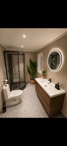 a bathroom with a toilet and a sink and a mirror at Modern Ocean Escape, Lofoten in Sund