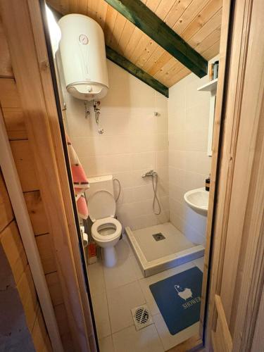 a small bathroom with a toilet and a sink at EtnoPetra in Mojkovac