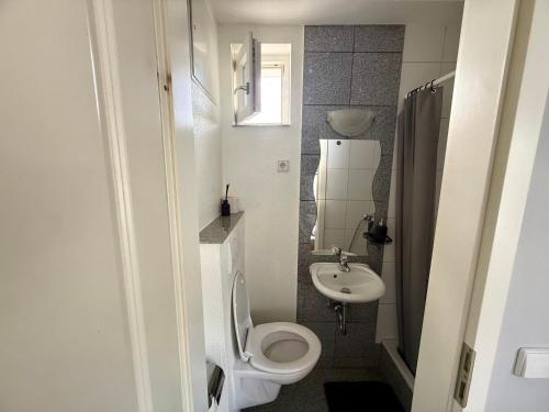 a small bathroom with a toilet and a sink at Gästehaus Kerle in Dossenheim