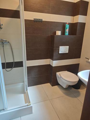 a bathroom with a toilet and a shower at OW Viva in Jantar