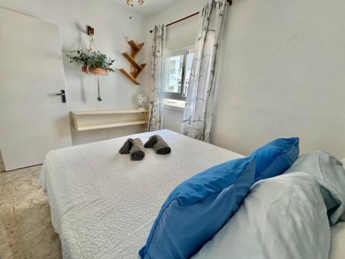 Amapola de SteraM FLATS Torremolinos