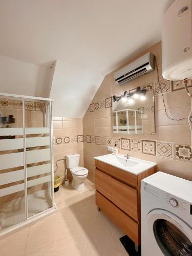 a bathroom with a toilet and a sink and a washing machine at Loft Boutique con Encanto in Montilla