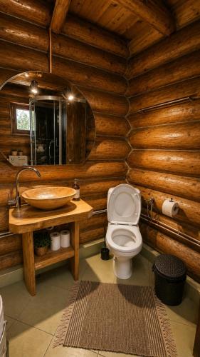 a bathroom with a sink and a toilet in a log cabin at Cabana Perla Muncelului in Stulpicani