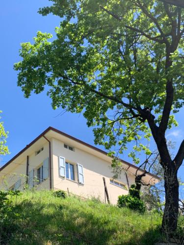 a house on top of a hill with a tree at Èlpari Bed&Breakfast in Montelparo