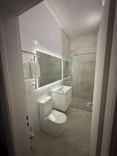 a bathroom with a toilet and a sink and a shower at Happy Home Hostel in Odesa