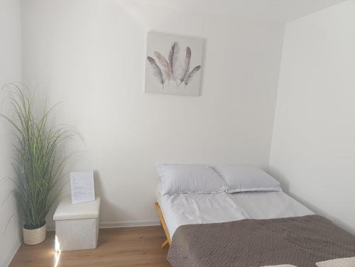 a white bedroom with a bed and a plant at VracarHouse in Vračar (historical)