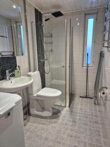 a bathroom with a toilet and a shower and a sink at Annalassa kahden makuuhuoneen asunto in Tampere