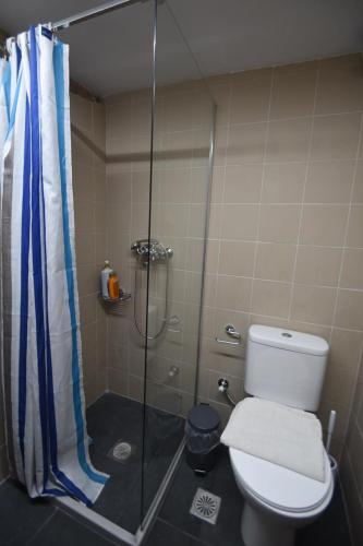 a bathroom with a shower with a toilet and a sink at Avgonima Joy Medvial Suite in Chios