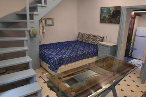 Avgonima Joy Medvial Suite