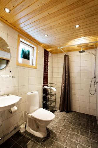 a bathroom with a toilet and a sink at Värdshuset Flottaren in Vansbro
