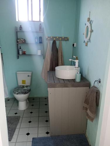 a bathroom with a sink and a toilet at Kaye Daisy in Vieux Fort