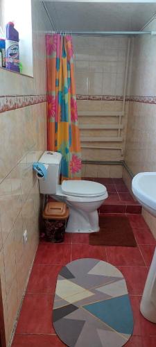 a bathroom with a toilet and a shower curtain at STALBEK Guest House in Kochkorka
